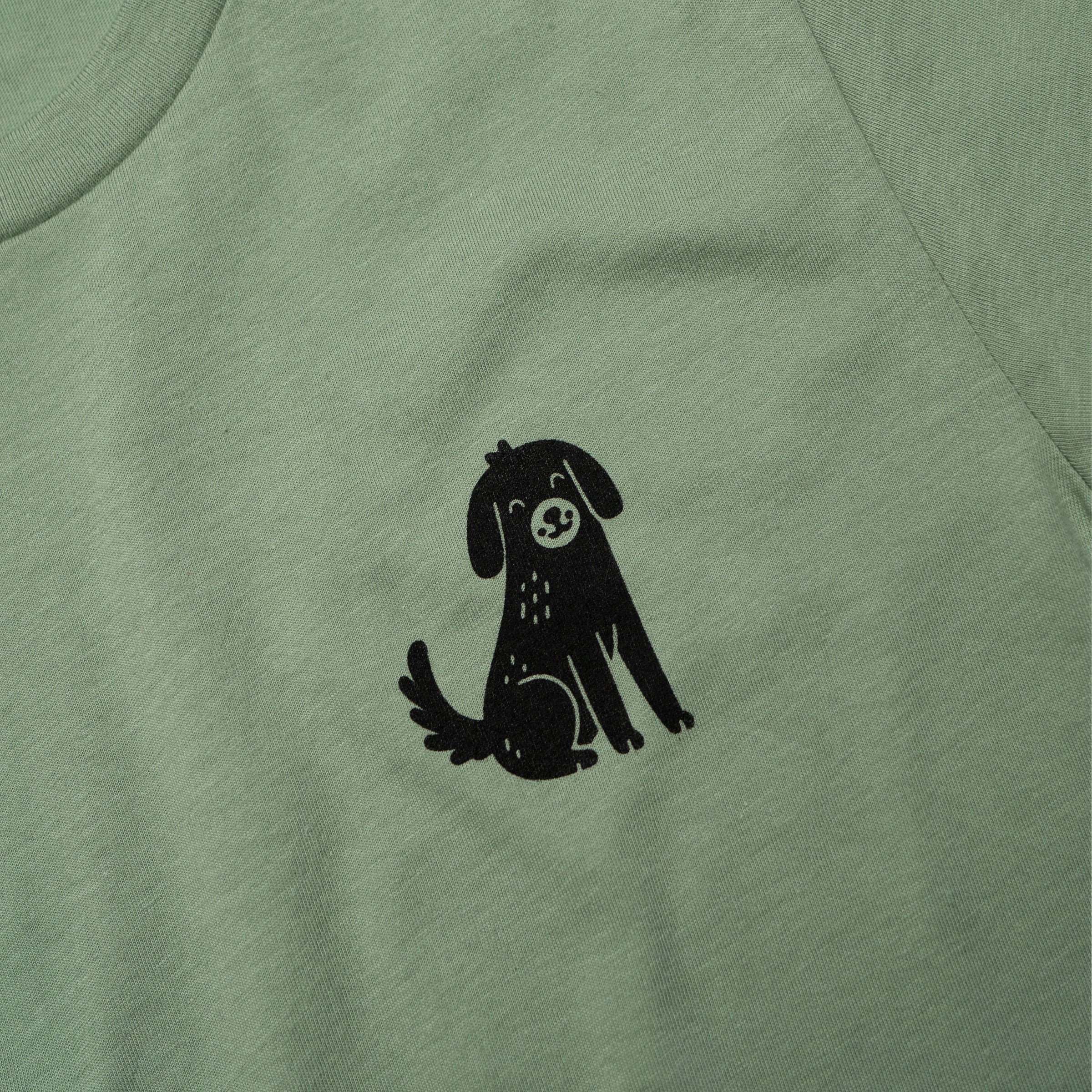 Hangs With The Dogs At Parties crew neck in Sage styled — androgynous gender neutral queer graphic tee