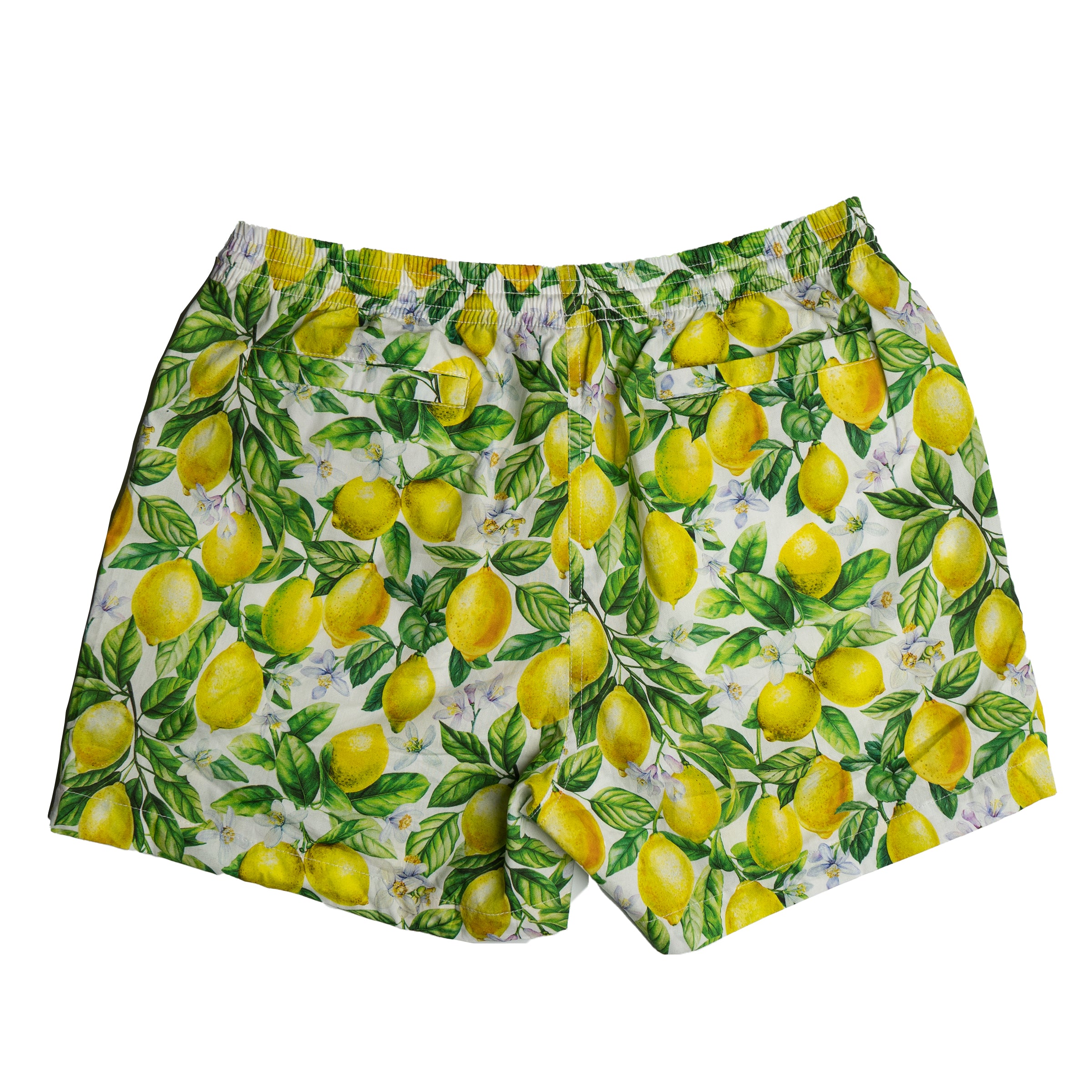 Zinger V2 Shorts back view — Androgynous Fox gender neutral shorts